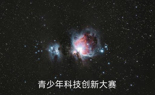 青少年科技創(chuàng)新大賽