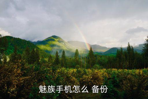 flyme會自動備份,flyme賬號如何備份?