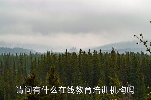 請(qǐng)問(wèn)有什么在線教育培訓(xùn)機(jī)構(gòu)嗎