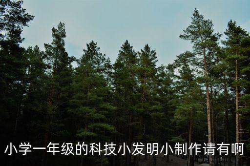 一年級的科技小制作簡單又漂亮，小學(xué)一年級的科技小發(fā)明小制作請有啊