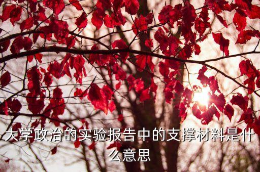 課題的支撐材料是指什么，大學(xué)政治的實(shí)驗(yàn)報告中的支撐材料是什么意思