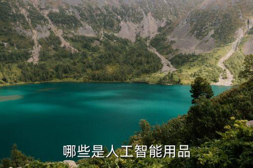 哪些是人工智能用品