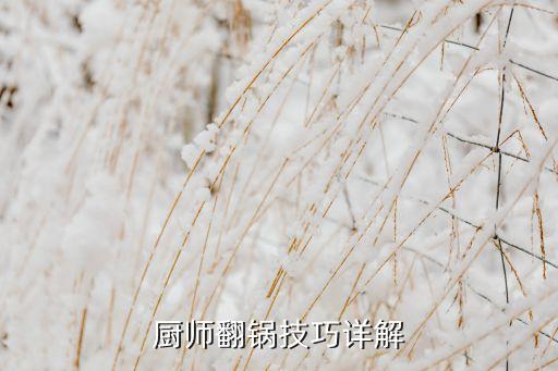 廚師翻鍋技巧詳解