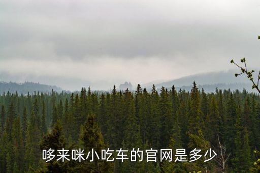 哆來咪小吃車的官網(wǎng)是多少