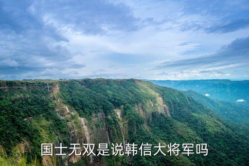 國士無雙主角身世，國士無雙是說韓信大將軍嗎