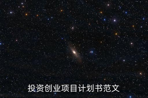 投資創(chuàng)業(yè)項(xiàng)目計(jì)劃書(shū)范文