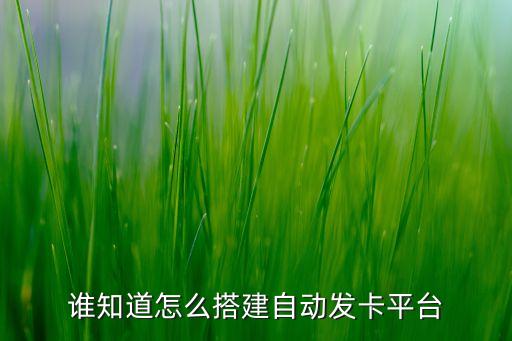 誰知道怎么搭建自動(dòng)發(fā)卡平臺(tái)
