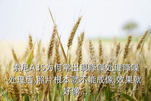 索尼a35老是自動重啟,索尼放棄生產(chǎn)單電相機改做e卡口簡單