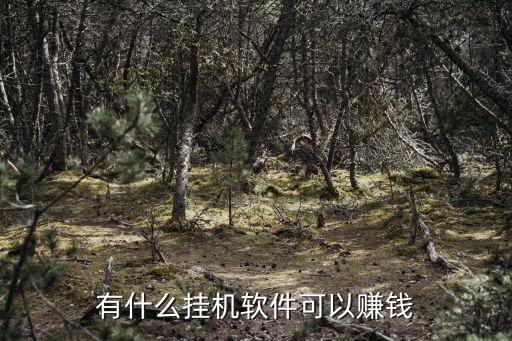 有什么掛機(jī)軟件可以賺錢