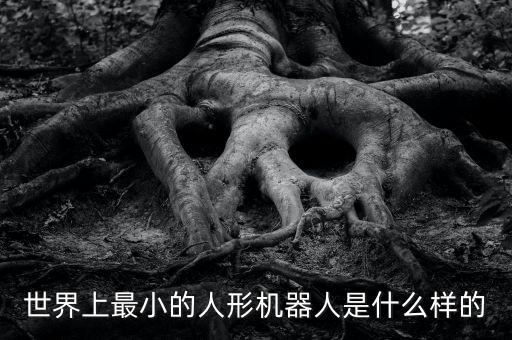 世界上最小的人形機(jī)器人是什么樣的