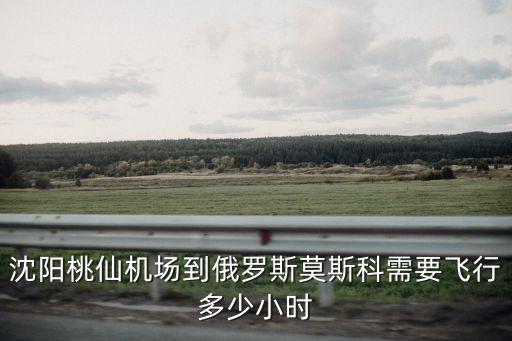 中國援俄無人機(jī)，中國出動戰(zhàn)斗機(jī)幫助俄羅斯
