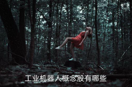 工業(yè)機(jī)器人概念股，機(jī)器人概念股票有哪些