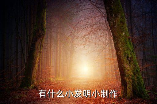 有什么小發(fā)明小制作