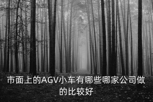 agv小車廠家排名，我們車間要想要購置AGV國內(nèi)AGV廠家哪幾家比較好