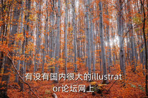 有沒有國內(nèi)很大的illustrator論壇網(wǎng)上