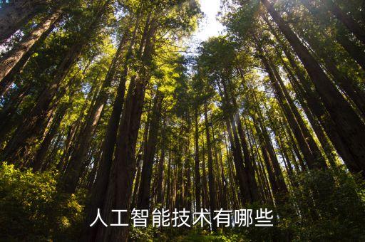ai技術(shù)包括什么，人工智能技術(shù)有哪些