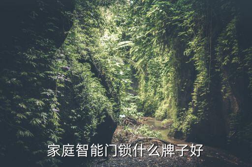 智能鎖哪個品牌比較好，智能鎖買那個牌子的比較好