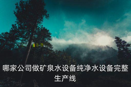 哪家公司做礦泉水設(shè)備純凈水設(shè)備完整生產(chǎn)線