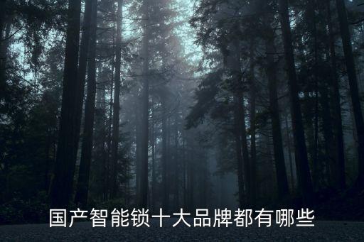 國(guó)產(chǎn)智能鎖十大品牌都有哪些