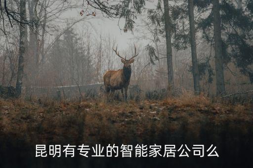 昆明有專(zhuān)業(yè)的智能家居公司么
