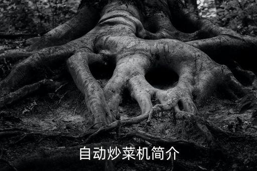 自動炒菜機簡介