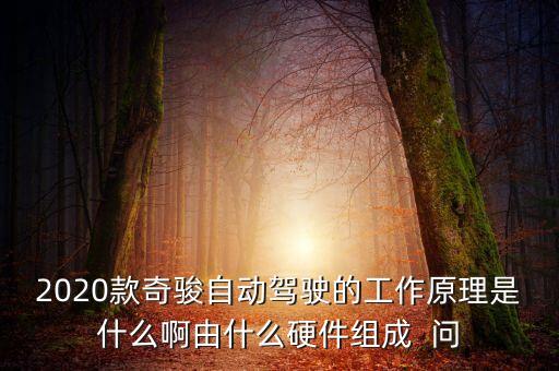 2020款奇駿自動駕駛的工作原理是什么啊由什么硬件組成  問
