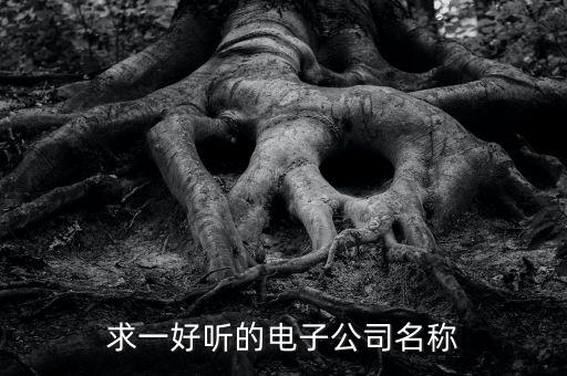 求一好聽的電子公司名稱