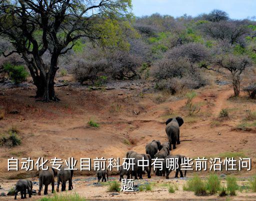 自動(dòng)化專業(yè)目前科研中有哪些前沿性問題