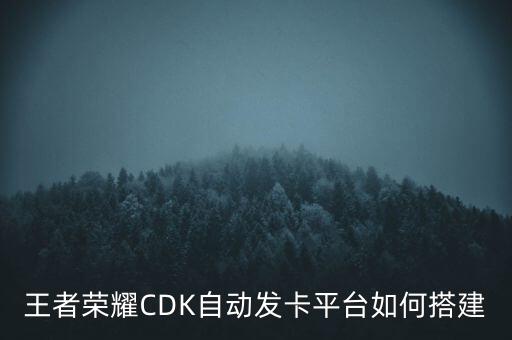 手游輔助自動發(fā)卡平臺，哪里有好用更安全的自動發(fā)卡平臺自動發(fā)卡密平臺自動發(fā)游戲點