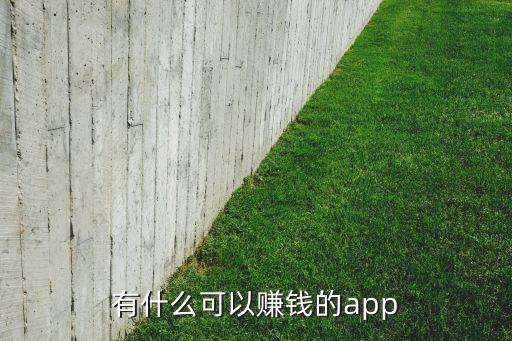有什么可以賺錢的app