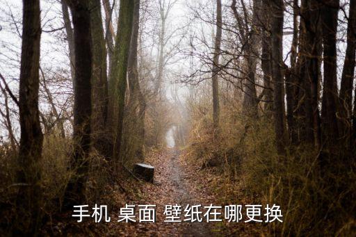 手機 桌面 壁紙在哪更換
