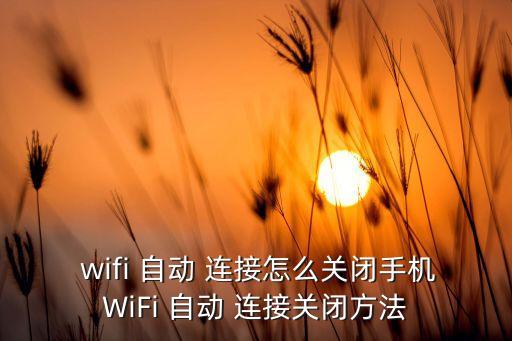  wifi 自動(dòng) 連接怎么關(guān)閉手機(jī)WiFi 自動(dòng) 連接關(guān)閉方法