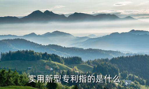 實(shí)用新型專利，實(shí)用新型專利指的是什么