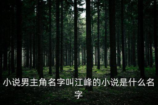 小說男主角名字叫江峰的小說是什么名字