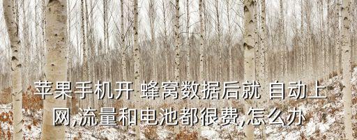 蘋果4越獄后蜂窩數(shù)據(jù)自動(dòng)打開,如何進(jìn)行設(shè)置和更新?