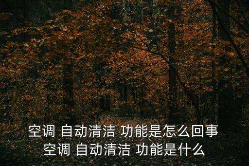  空調(diào) 自動清潔 功能是怎么回事 空調(diào) 自動清潔 功能是什么