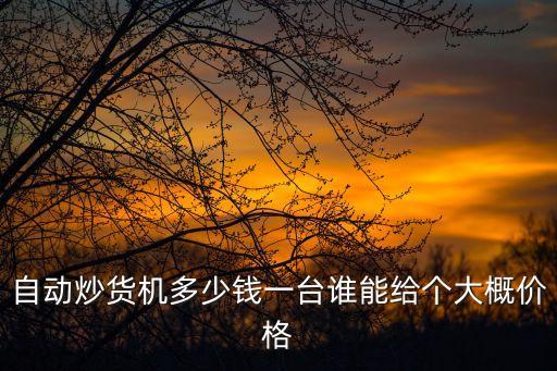 自動炒貨機多少錢一臺誰能給個大概價格