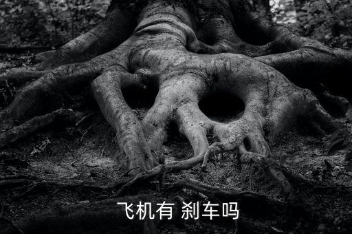  飛機有 剎車嗎