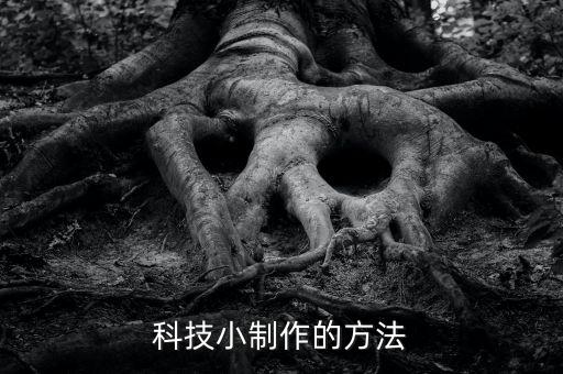 科技小制作的方法