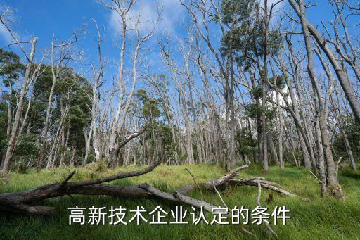 高新技術(shù)企業(yè)認(rèn)定的條件