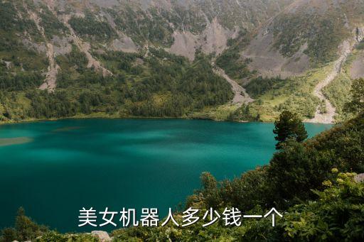 國(guó)內(nèi)首款女機(jī)器人價(jià)格，機(jī)器人老婆多少錢(qián)