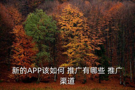 app自動(dòng)生成和推廣平臺(tái),如何做好app推廣?