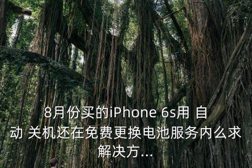8月份買(mǎi)的iPhone 6s用 自動(dòng) 關(guān)機(jī)還在免費(fèi)更換電池服務(wù)內(nèi)么求解決方...