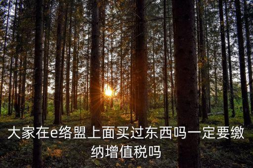 大家在e絡(luò)盟上面買過東西嗎一定要繳納增值稅嗎