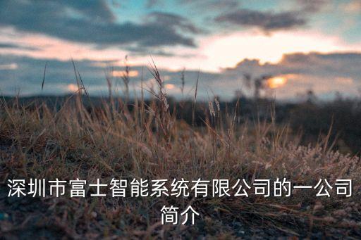 深圳市富士智能系統(tǒng)有限公司的一公司簡介