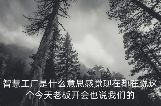 智慧工廠，智慧工廠是什么意思感覺(jué)現(xiàn)在都在說(shuō)這個(gè)今天老板開(kāi)會(huì)也說(shuō)我們的
