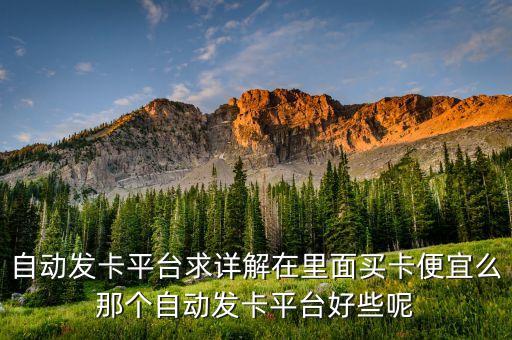 自動發(fā)卡平臺求詳解在里面買卡便宜么那個自動發(fā)卡平臺好些呢