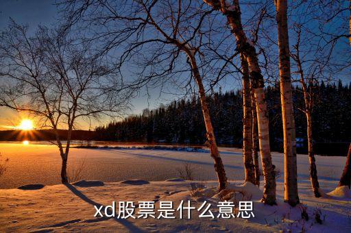 xd股票是什么意思
