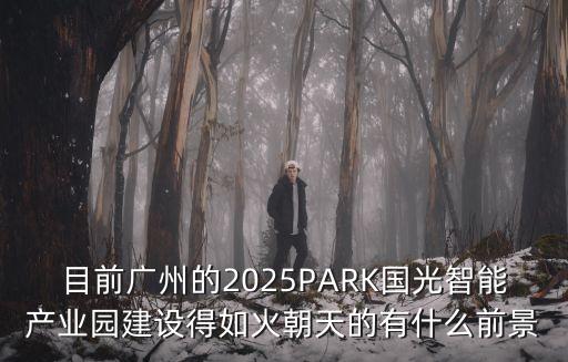 中國人工智能產(chǎn)業(yè)園項目廣州，下圖是廣州市天河智慧城園區(qū)規(guī)劃圖甲區(qū)域最適宜配套布局的是