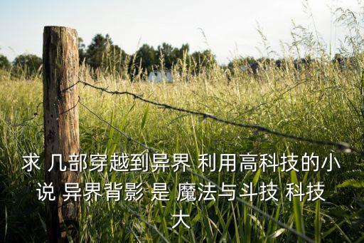 求 幾部穿越到異界 利用高科技的小說 異界背影 是 魔法與斗技 科技大